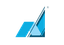 NLSM Logo